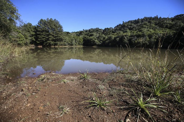 André Ávila / Agencia RBS André Ávila / Agencia RBS