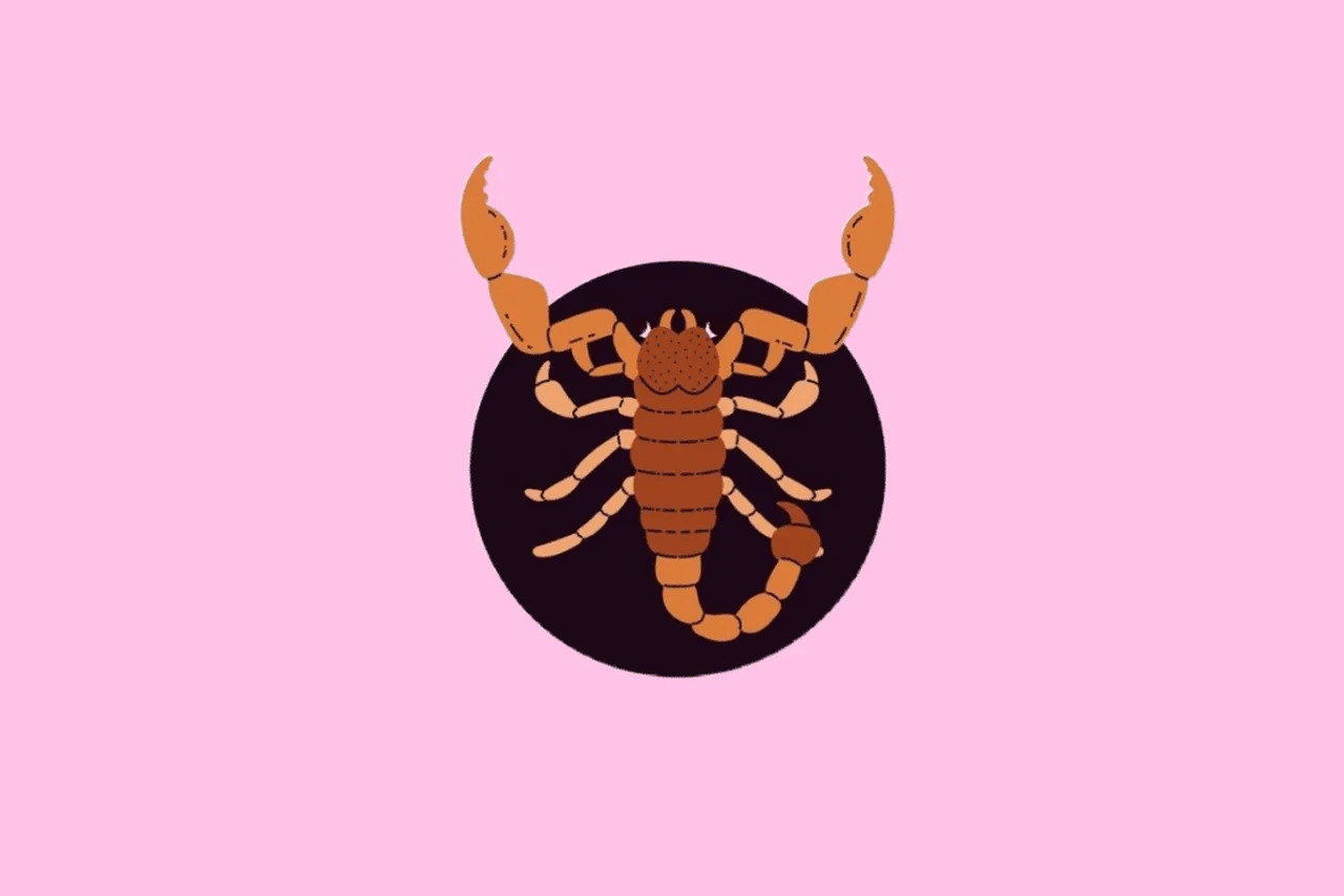 rumka vodki/Shutterstock | Portal EdiCase