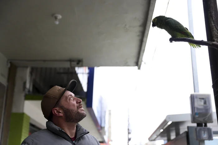 Camila Hermes / Agencia RBS Camila Hermes / Agencia RBS