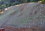 Dnit aplica biomantas vegetais em encostas da BR-470, na Serra das Antas, para prevenir novos deslizamentos