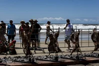 XANGRI-LA, RS, BRASIL, 24/01/2026: Nona edição do Paleta Atlântida recebe 1800 assadores a beira mar de Xagri-la. Fotos: Duda Fortes/Agencia RBS<!-- NICAID(16210895) -->