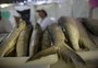Feira do Peixe começa hoje com sentimento de retomada na Capital