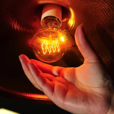 CAXIAS DO SUL, RS, BRASIL, 30/06/2021. Os reajustes nas contas de luz afetam o bolso do consumidor. Nesta semana, a Agência Nacional de Energia Elétrica (Aneel) aprovou o reajuste na bandeira tarifária vermelha patamar 2 — esse adicional é aplicado por causa do aumento do custo de produção de energia. A cobrança extra passou de R$ 6,24 para R$ 9,49 a cada 100 kWh consumidos, uma alta de 52%. (Porthus Junior/Agência RBS)<!-- NICAID(14822401) -->