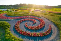 Mátria Parque de Flores, em São Francisco de Paula<!-- NICAID(16111020) -->