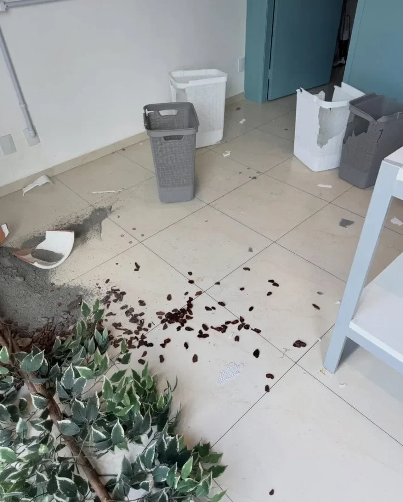 Reprodução