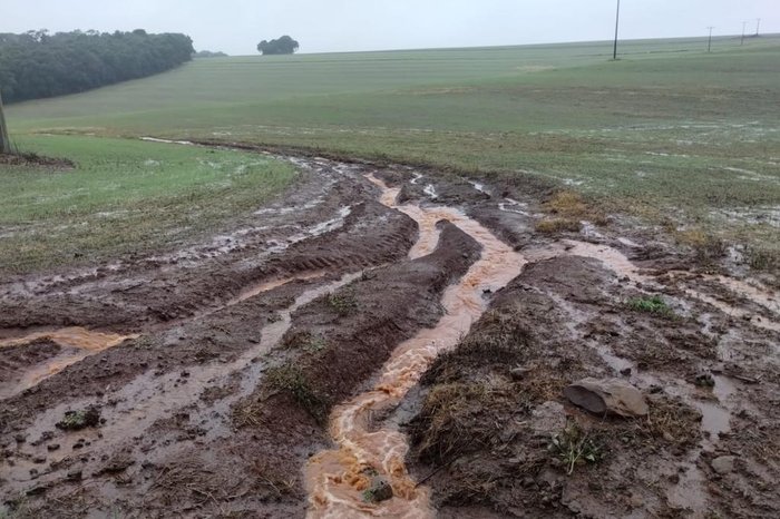 Vinicius Toso / Divulgação