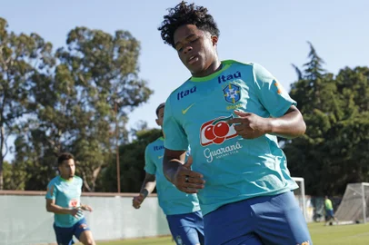 Treino da Seleção Brasileira na Universidade de Stanford, em Palo Alto, na Califórnia, Estados Unidos. Na foto, Endrick.<!-- NICAID(15802893) -->