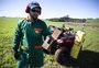 No centro do Estado, agrônomos usam tecnologia para avaliar o solo e recomendar fertilização personalizada nas lavouras