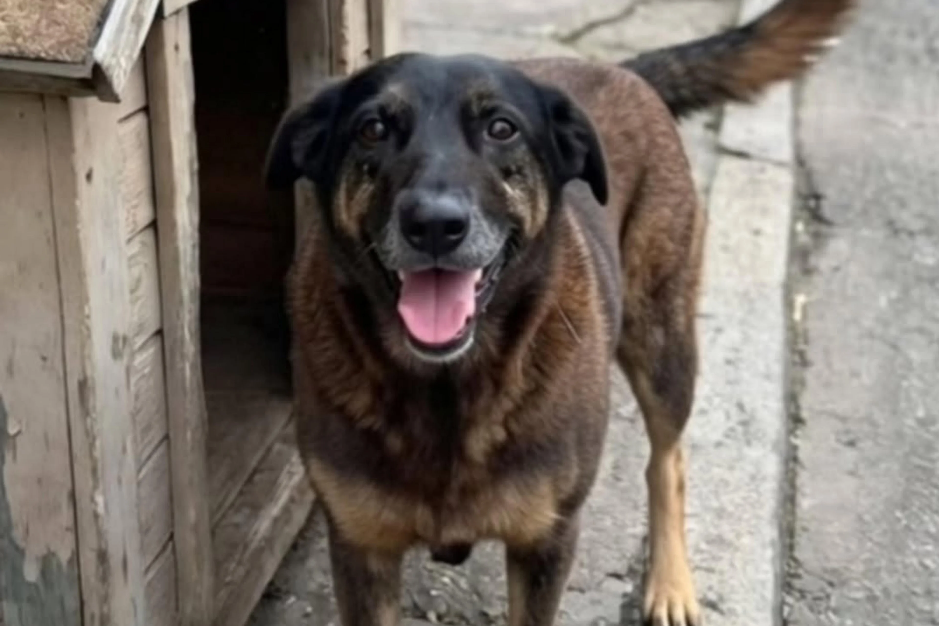 Instagram/Reprodução