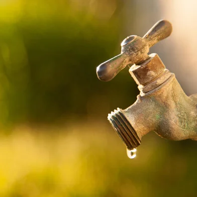 Falta de água. Foto: Scope Images  / stock.adobe.comFonte: 420839681<!-- NICAID(15479128) -->