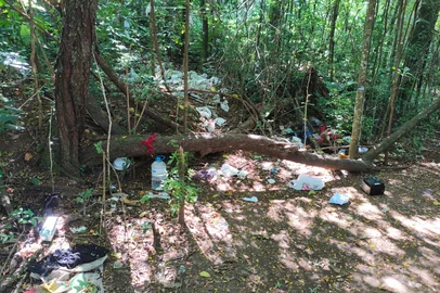 Polícia Civil prende homem suspeito de estuprar adolescentes e mulher em matagal de Caxias do Sul<!-- NICAID(16225211) -->