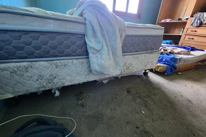 18 trabalhadores argentinos foram resgatados em São Marcos, na quarta-feira (31). Alojamento em que foram encontrados apresenta condição precária.<!-- NICAID(15667651) -->