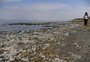 Encolhimento de maior lago da Turquia deixa animais sem água e agricultores sem perspectiva; veja fotos 