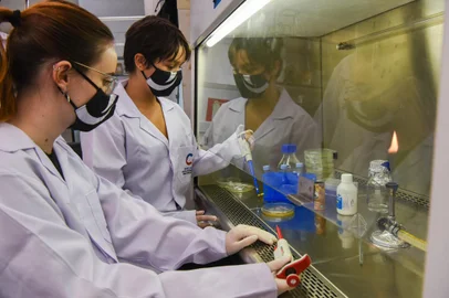 CETEC UCS _ Diego JavierAs alunas Jennifer Pereira Moreira e Nicole Peyrot da Silva, ambas com 17 anos, desenvolveram um trabalho motivadas por um problema que está se tornando cada vez mais comum: a resistência que as bactérias vêm adquirindo frente aos antibióticos já existentes.<!-- NICAID(14740639) -->