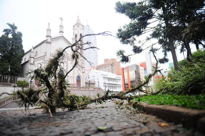 Porthus Junior / Agencia RBS Porthus Junior / Agencia RBS