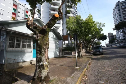 CAXIAS DO SUL, RS, BRASIL, 13/11/2025. Árvores podadas na rua Santo Ceroni, no bairro Panazzolo, próximo ao bar e armazém Kerwald. (Porthus Junior/Agência RBS)<!-- NICAID(16166968) -->