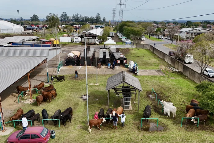 Jefferson Botega / Agencia RBS