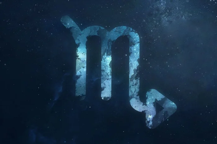 Dima Zel / Shutterstock | Portal EdiCase