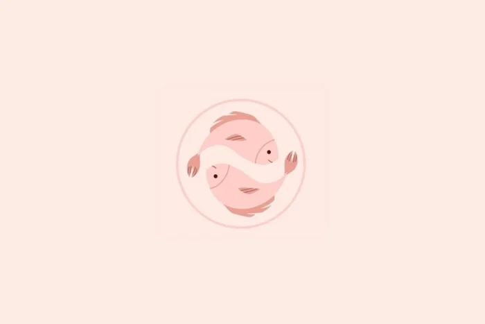 Sabelskaya / Shutterstock | Portal EdiCase