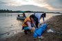 Em meio à seca na Amazônia, 110 botos são achados mortos no Lago Tefé, aponta instituto<!-- NICAID(15555845) -->