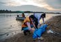 Em meio à seca na Amazônia, 110 botos são encontrados mortos no Lago Tefé
