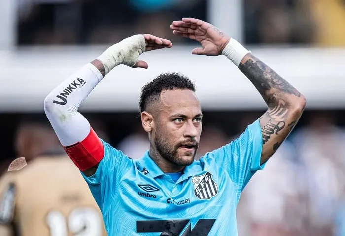Raul Baretta / Santos FC/Divulgação