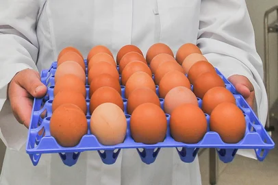 BENTO GONÇALVES, RS, BRASIL, 05/12/2022. Agroindústrias de Bento Gonçalves são case de sucesso no estado. (Neimar De Cesero/Agência RBS)<!-- NICAID(15302519) -->