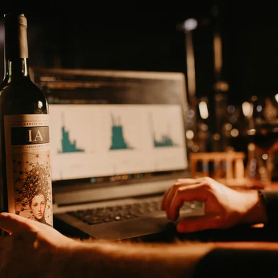 Vinho com IA - Vinícola Casa Tertúlia<!-- NICAID(15880601) -->