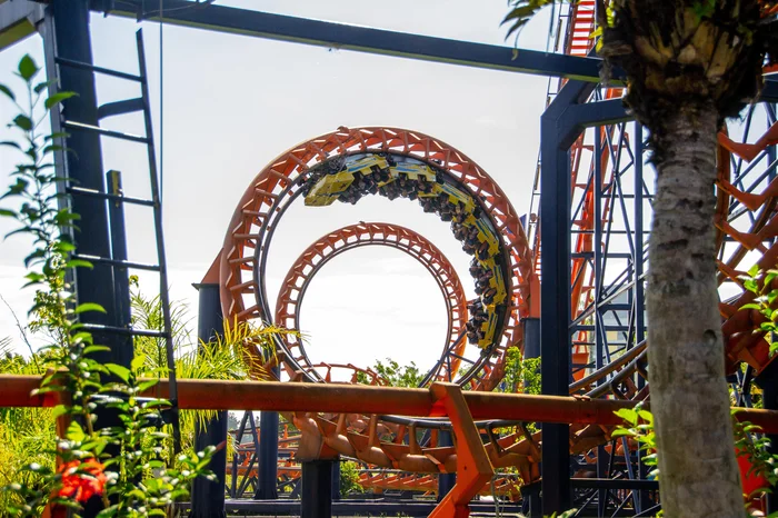 BrunoMartinsImagens / stock.adobe.com BrunoMartinsImagens / stock.adobe.com