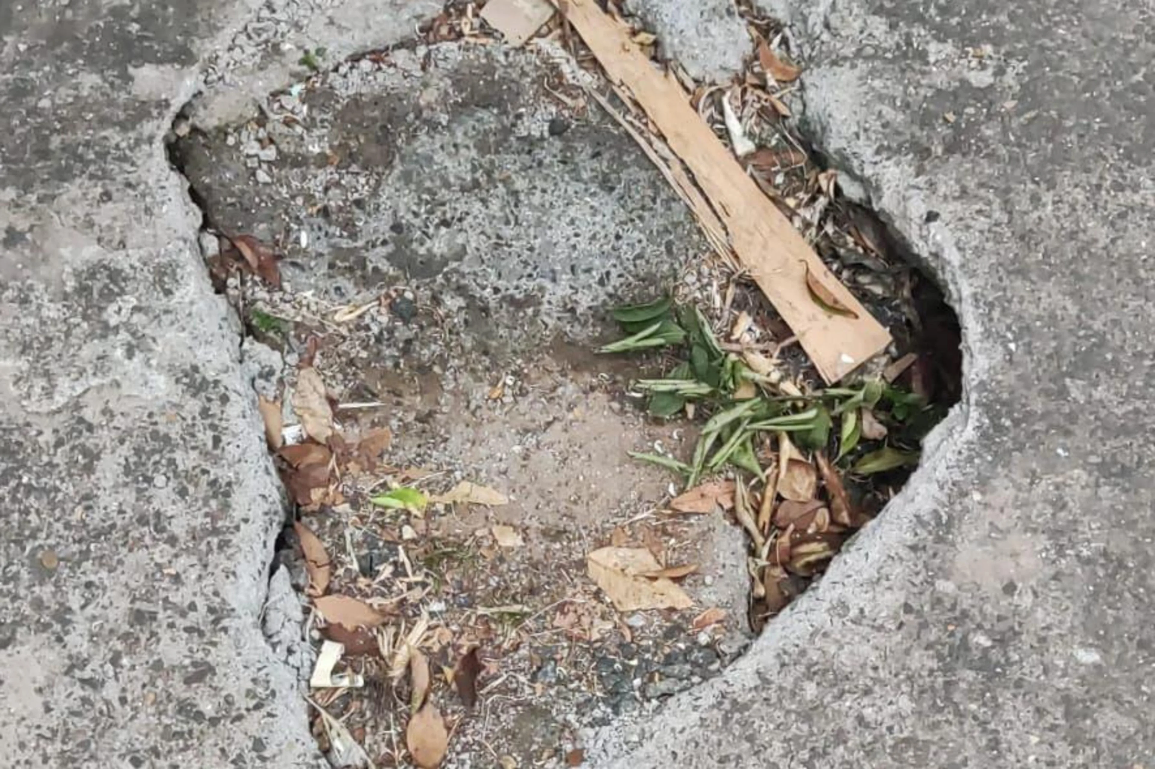 Leoni Costa/Arquivo Pessoal