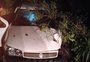 Homem morre após bater carro em árvores na Região Norte