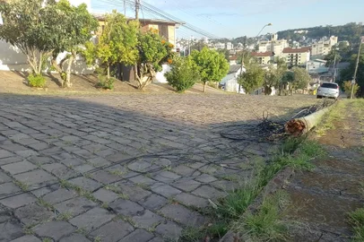Postes são retirados do meio da via na Rua Professor Marcos Martini, no bairro Santa Cantarina, em Caxias do Sul. As estruturas de madeira caíram durante o temporal de quinta-feira (26), por volta das 16h15min<!-- NICAID(15334052) -->