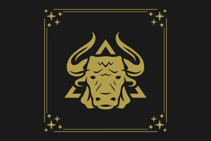 Vasya Kobelev / Shutterstock | Portal EdiCase