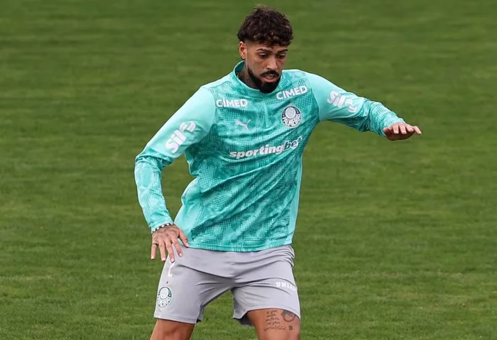 Cesar Greco / Palmeiras
