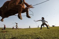 Exposição “Huachu”, de Guto Oliveira<!-- NICAID(16080611) -->