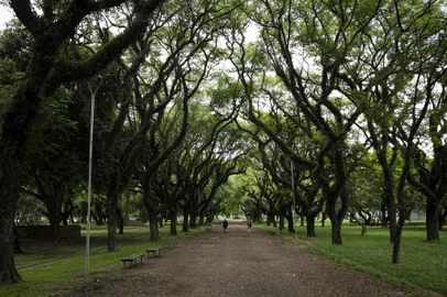 Porto Alegre, RS, Brasil, 05-12-2023: Áreas arborizadas no Parque Marinha do Brasil, que completa 45 anos. Em 1978, ano de inauguração, o local era descampado. Foto: Mateus Bruxel / Agência RBS<!-- NICAID(15616844) -->