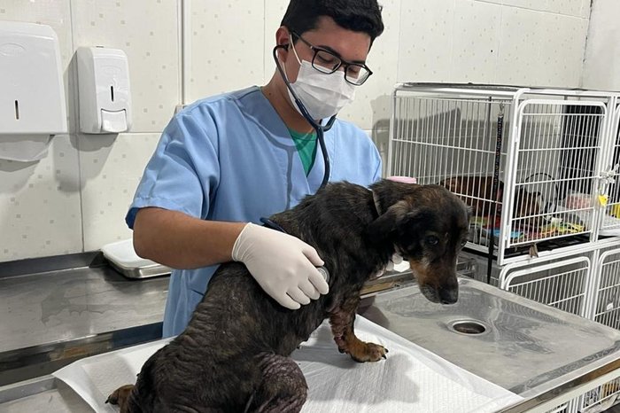 arquivo pessoal / arquivo pessoal arquivo pessoal / arquivo pessoal