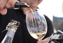 Festival na Redenção quer descomplicar o consumo de vinho neste sábado