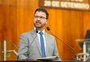 Neri sugeriu não fazer convenção do PSDB em Caxias