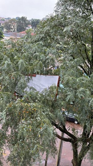 Arquivo Pessoal / Arquivo Pessoal