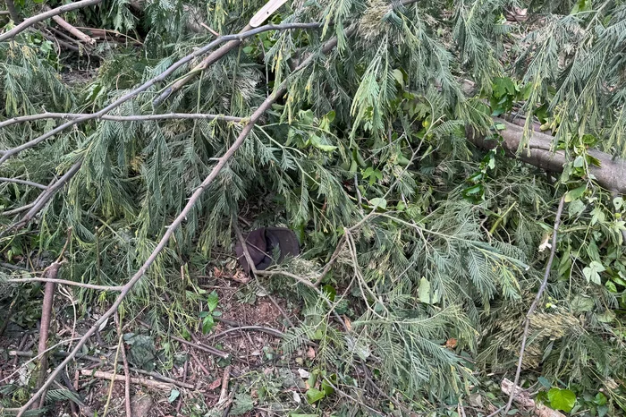 Bombeiros Voluntários de Três Coroas / Divulgação