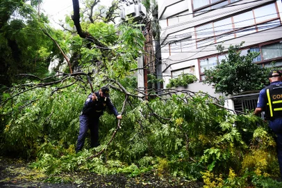 Estragos do temporal em Porto Alegre. Na foto Rua Santa Cecilia, bairro Rio Branco -  Foto: Ivan Pacheco/Agencia RBS<!-- NICAID(15711858) -->