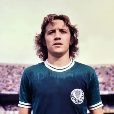 Leivinha, Palmeiras