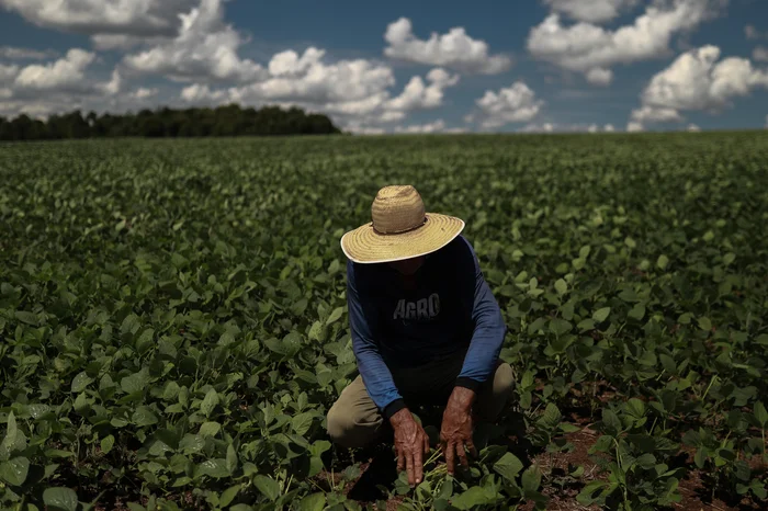 Renan Mattos / Agencia RBS