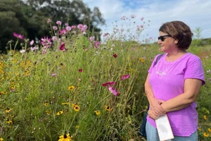 Lúcia Pires / Divulgação