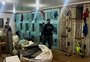 Brigada Militar resgata mais de 160 galos em rinha no interior de Ernestina