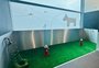 O "WC canino" criado pelo Aeroporto de Lisboa, em Portugal