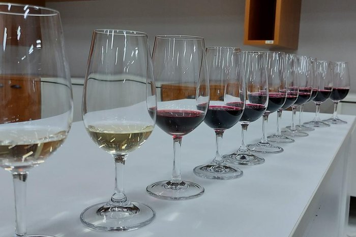 Associação dos Produtores e Vinhos de Altos Montes / Divulgação