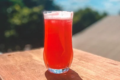 suco, verao, saude, saudavel, fruta, destemperados, receita<!-- NICAID(14987336) -->