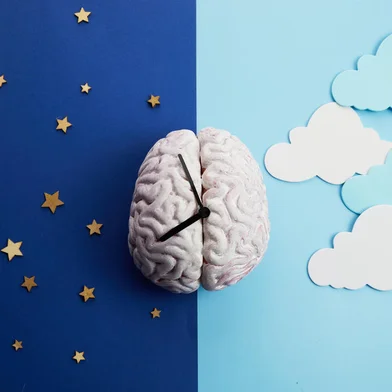 The circadian rhythms are controlled by circadian clocks or biological clockThe circadian rhythms are controlled by circadian clocks or biological clock.Fonte: 477341514<!-- NICAID(15736396) -->